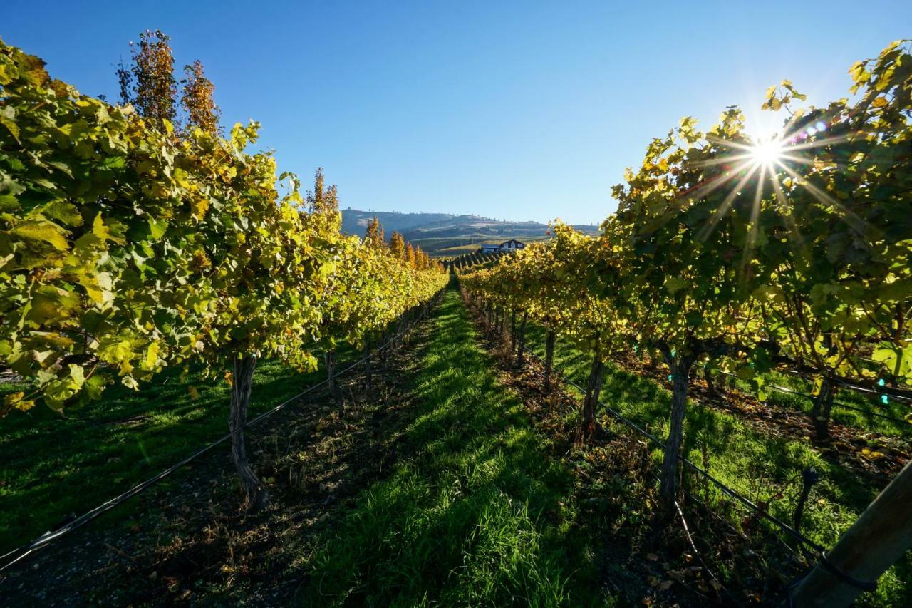 The Vineyards Lodge Chelan Luaran gambar
